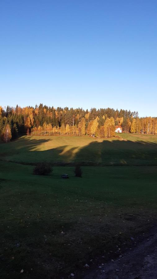 Stuga Asnagard Torsby Exterior photo